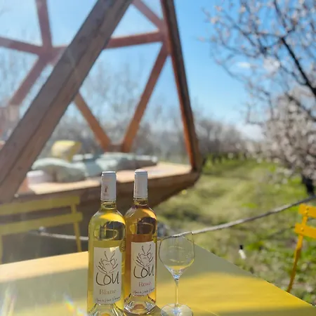 Glamping La Bulle Ico