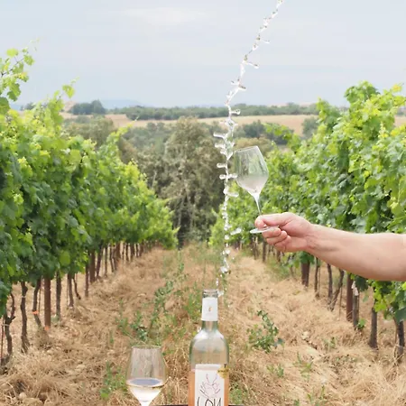 La Bulle Ico Glamping *
