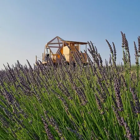 La Bulle Ico Luksustelt *