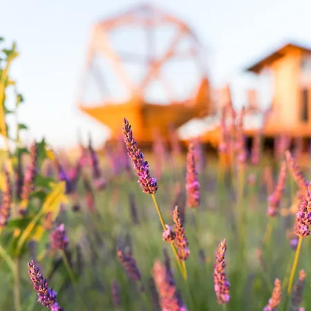 La Bulle Ico Luksustelt *