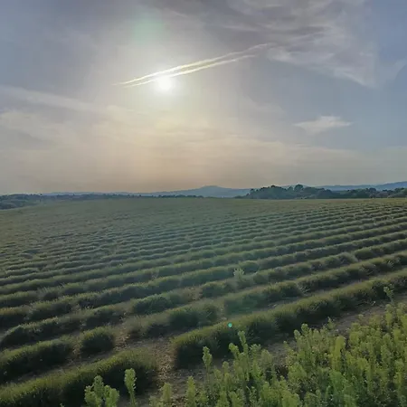 La Bulle Ico Luksustelt Valensole