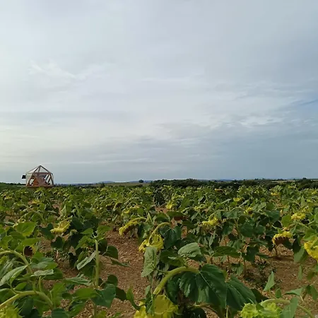 La Bulle Ico Luksustelt Valensole