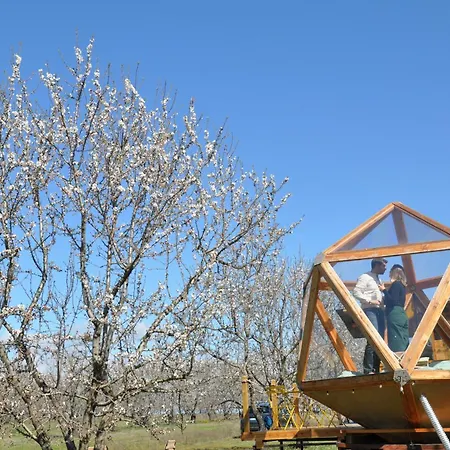 La Bulle Ico Luxury tent