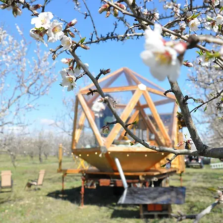 Glamping La Bulle Ico