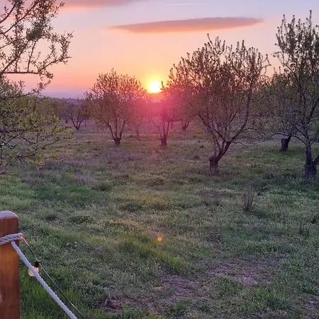 La Bulle Ico