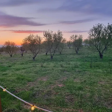 La Bulle Ico Luxury tent Valensole