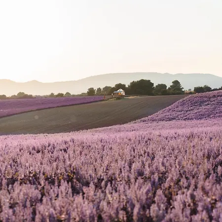 La Bulle Ico