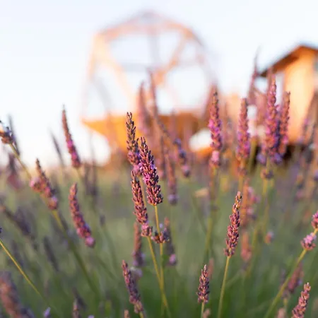 La Bulle Ico Glamping *