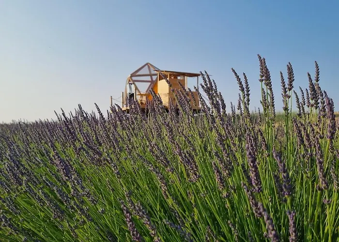 La Bulle Ico Luxury tent *