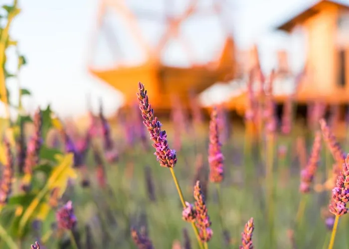 La Bulle Ico Luxusní stan *