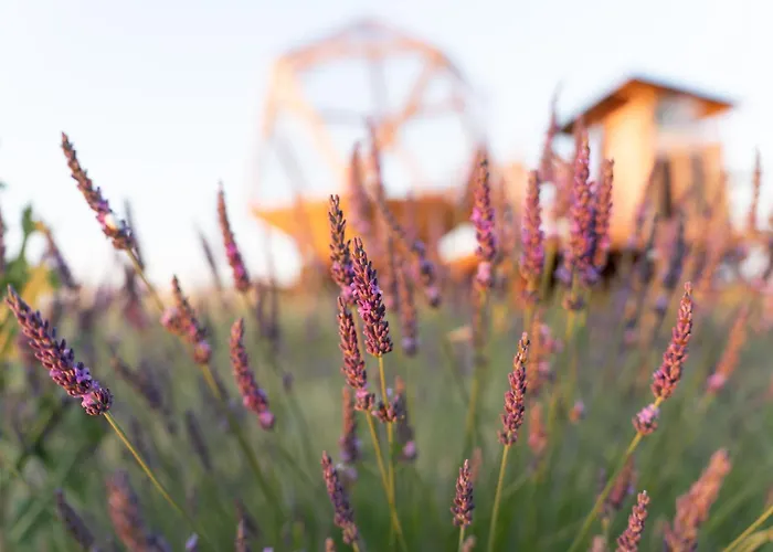 La Bulle Ico Luxusní stan *