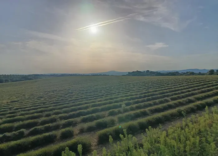 La Bulle Ico Luxury tent Valensole