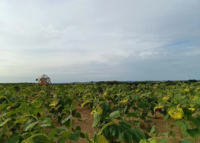 La Bulle Ico Luxury tent Valensole