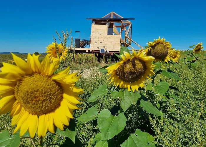 Luxury tent La Bulle Ico Valensole